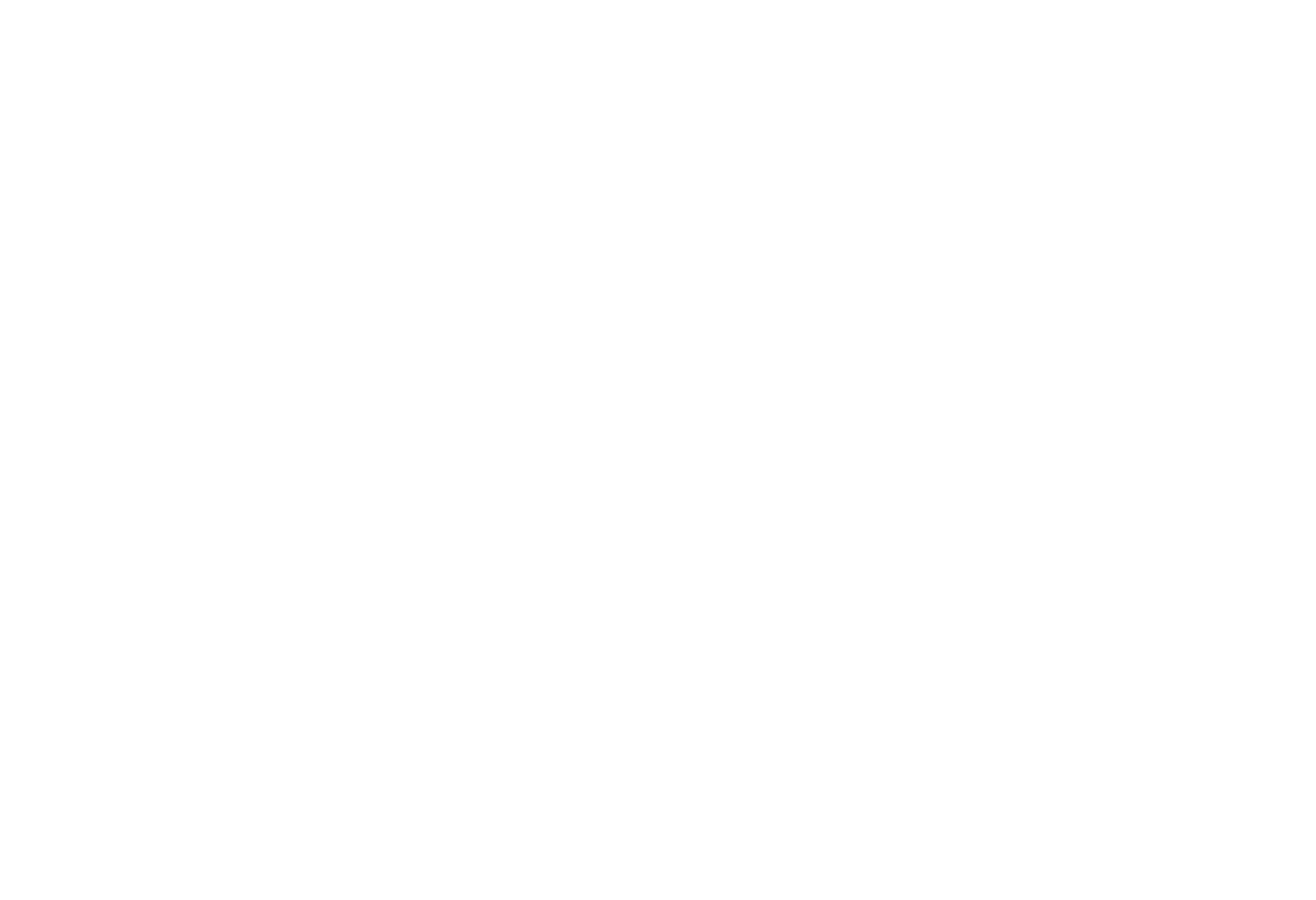 Escape Team Logo White